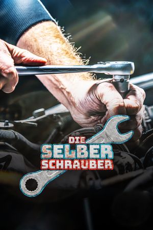 Dmax Alle Folgen Kostenlos – D-Max Programm – RVSZ