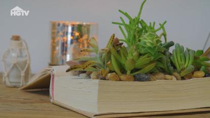 270013 - HGTV_DIY Succulent Book Planter_16x9