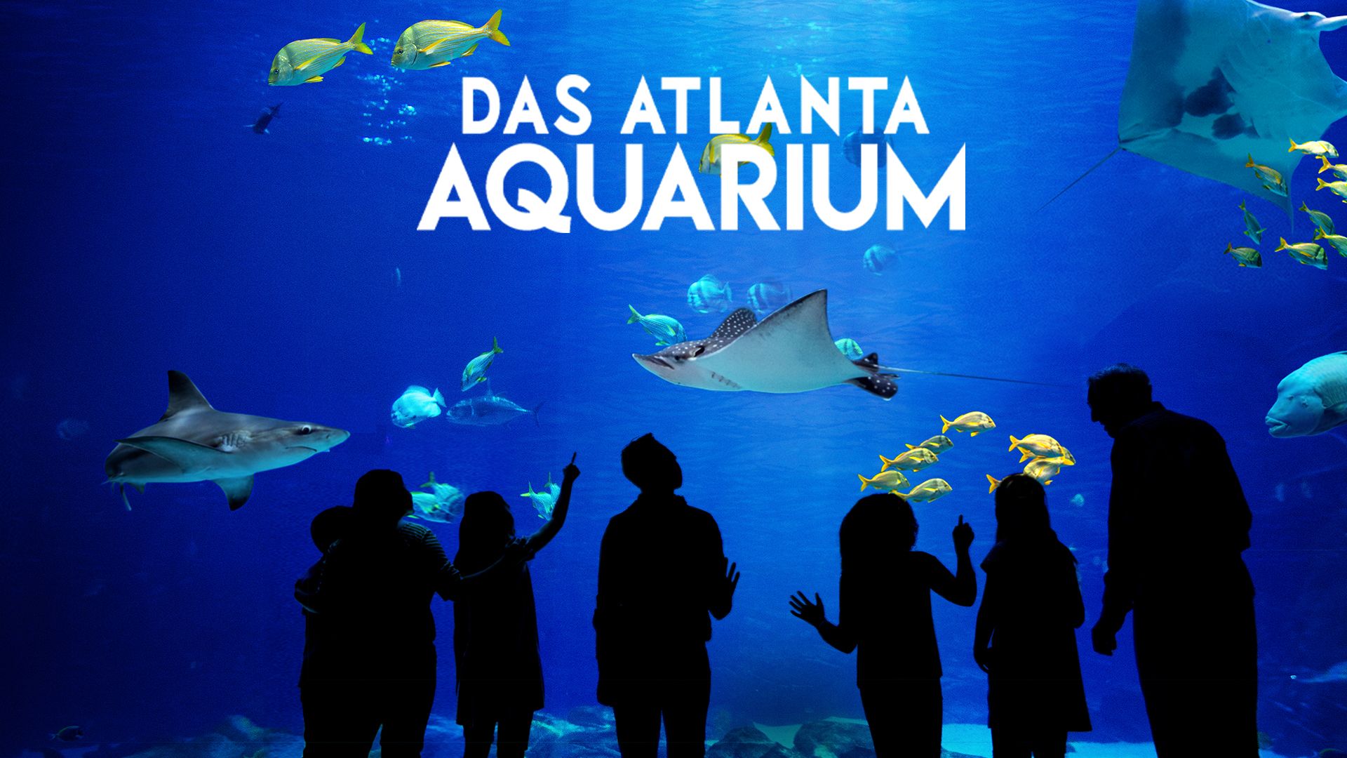 Les restaurants d'Atlanta près de l'aquarium - EyJiDWNrZXQiOiJsb21hLW1lZGlhLWRlIiwia2V5IjoiDGxjLWltYWDlLTQwMTg1NDBhLTlhMWYtNDlmZi04N2ExLTI3YzBmNjIzNzYzOC5qcGciLCJlZGl0cyI6eyJyZXNpemUiOnsiD2lkDGgiOjE5MjAsImhlaWDoDCI6MTA4MCwiZml0IjoiY292ZXIifX19