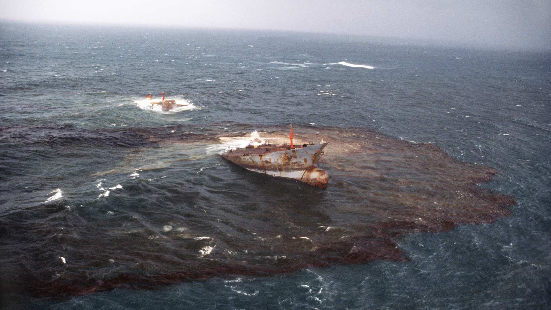Сосна утонет в нефти. Танкер Amoco Cadiz. В 1978 году танкер Amoco Cadiz. Нефтяной танкер Амоко Кадис. Амоко Кадис разлив нефти.
