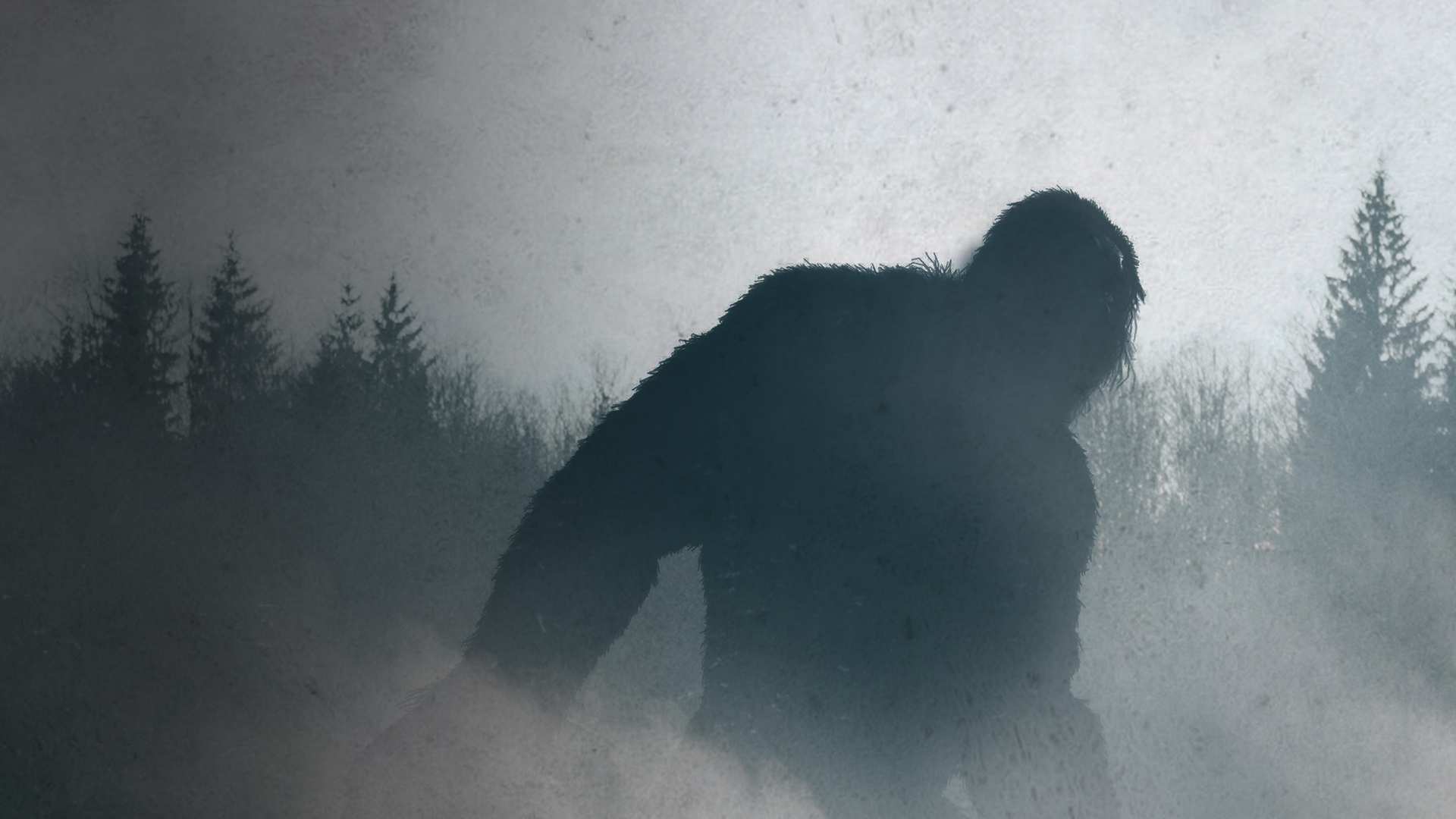 Bigfoot: killer in Alaska. Dove vederlo in TV e streaming