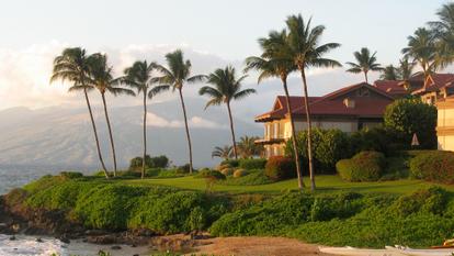 Hawaii life landscape - Getty